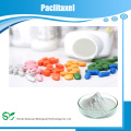 GMP Factory Produce Mejor Paclitaxel 33069-62-4